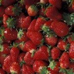 strawberries Strawberries picture from http://www.ars.usda.gov/is/graphics/photos/aug97/k7726-1.htm