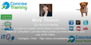 twitter profile concisetraining Concise Training Twitter Profile