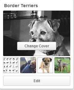 Border Terriers Pinterest board
